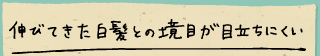 伸びてきた白髪との境目が目立ちにくい